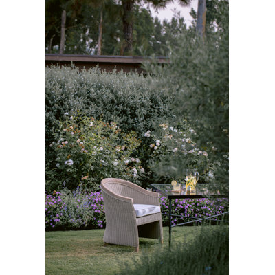 Cambria Dining Chair