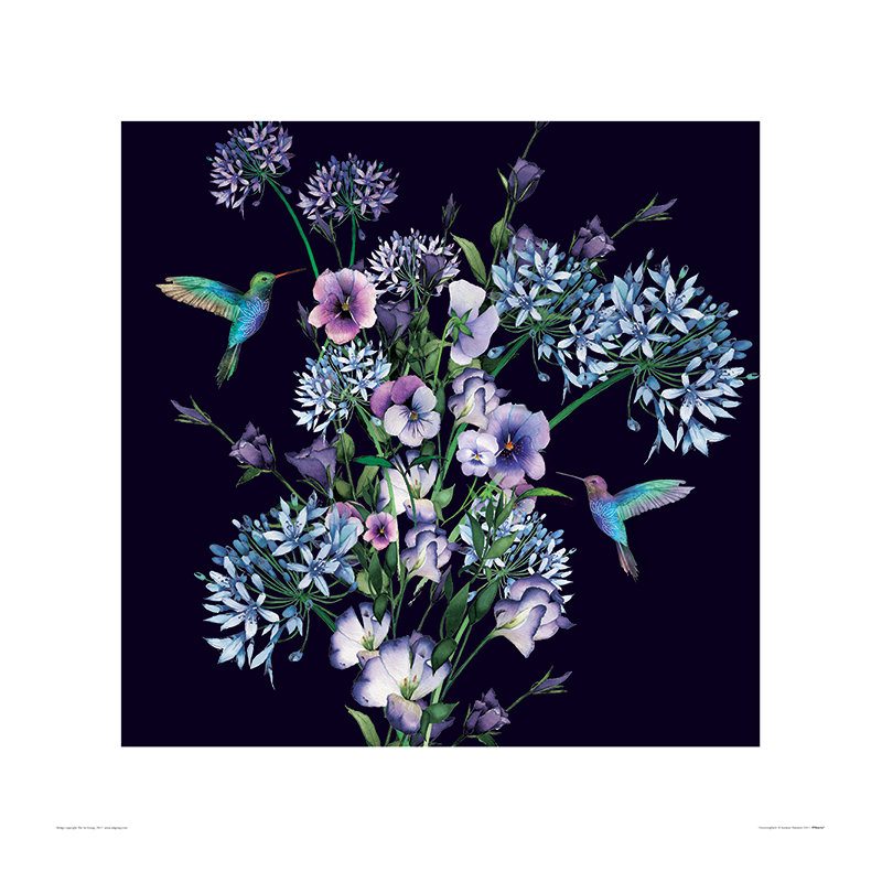 Hummingbirds by Summer Thornton - No Frame Print, 60cm H x 60cm W x 0.01cm D