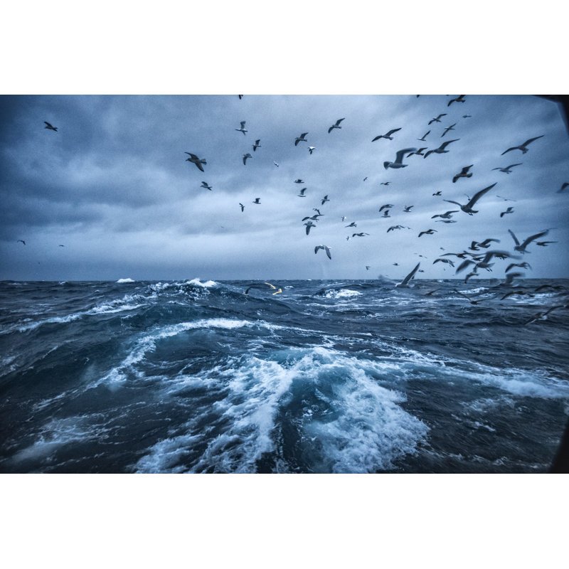 Out In A Rough Sea by Piola666 - Wrapped Canvas Print, 30cm H x 46cm W