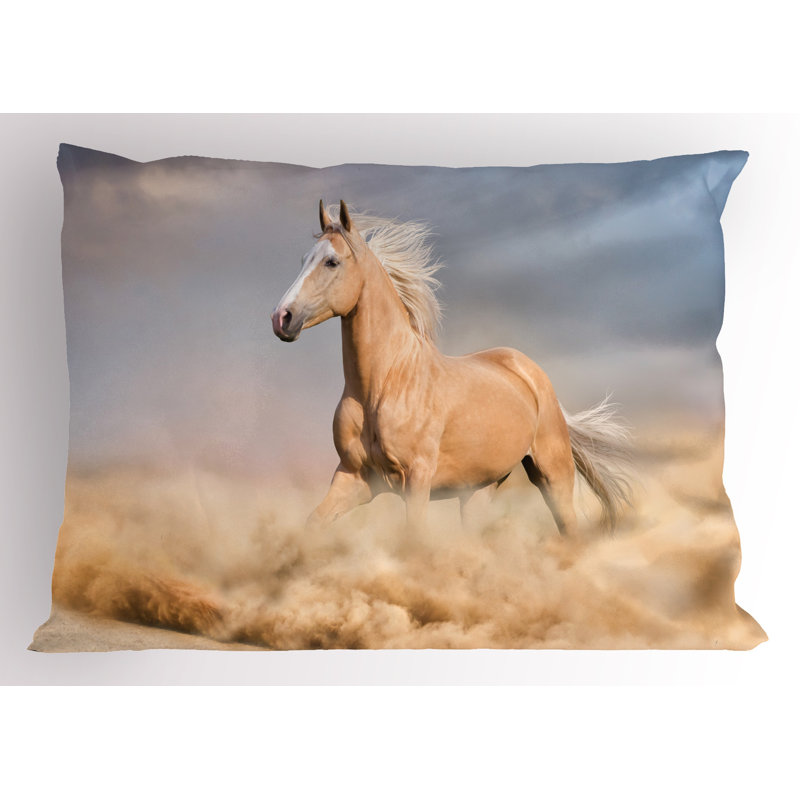 Ensemble de 2 taies décoratives pour cheval Ambesonne, H 20 po x l 26 po