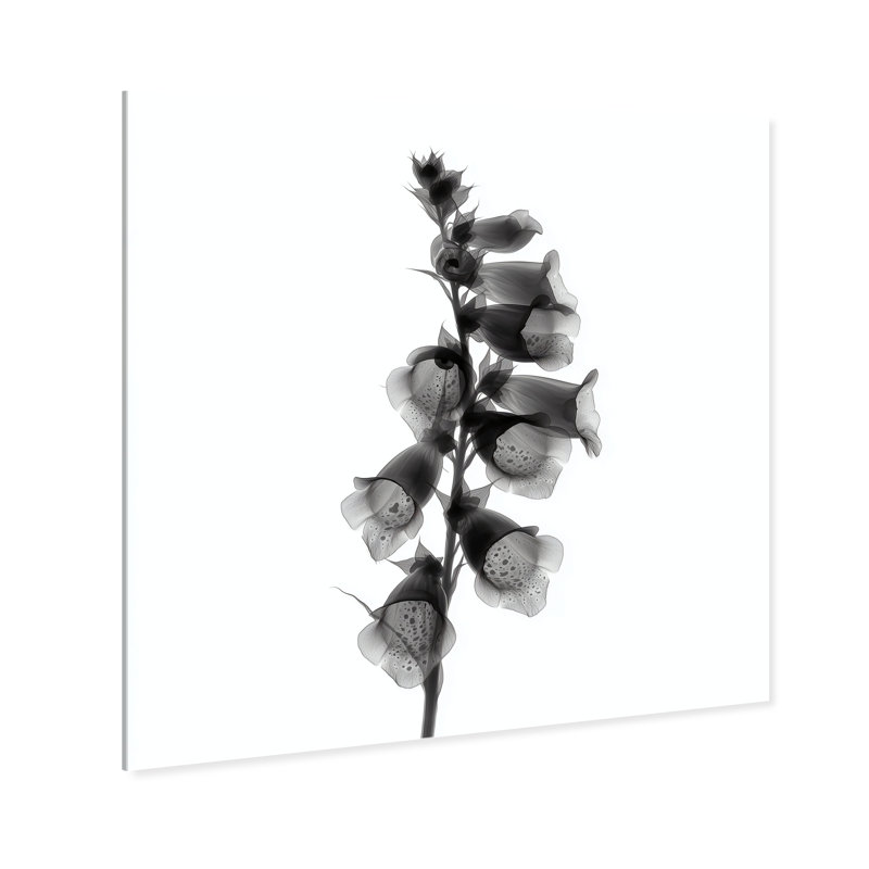 Ossified Petals II Print by Oliver Gal, 12"H x 12"W, High-Gloss Acrylic Print