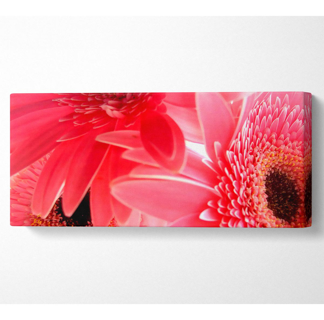 Pink Gerbera Flower Mayhem - Leinwanddrucke auf Leinwand