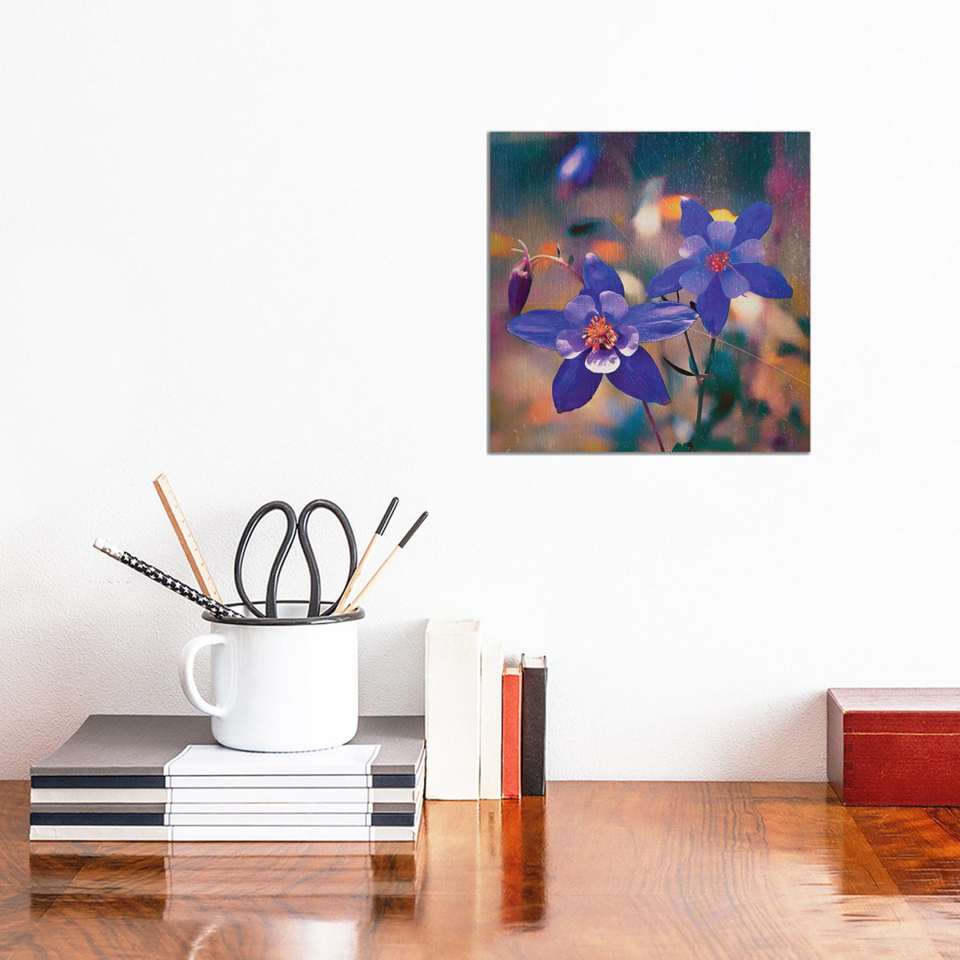 Colorado Columbine Flower - Wrapped Canvas Print