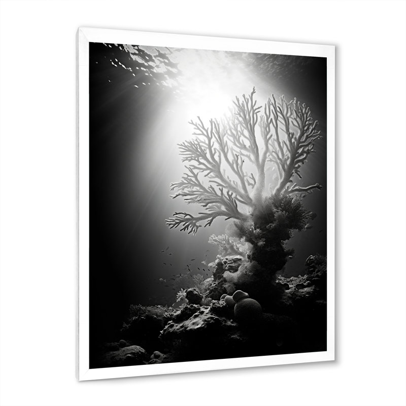 «Black and White Coral Plant III - Beach & Ocean», reproduction d'art sur toile, H 32 po x l 16 po x P 1 po