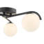 Raegen Glass Flush Mount