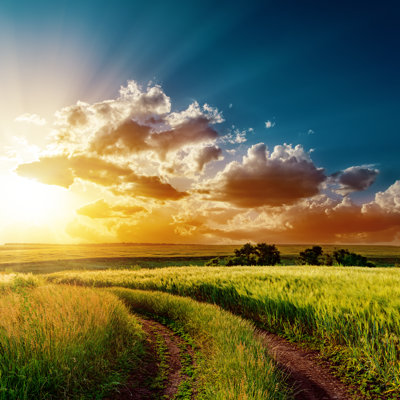 Sunset Over Road In Fields 1 Piece Wrapped Canvas Wall Art