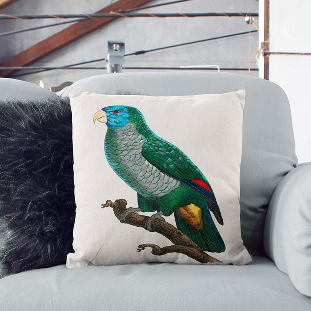 Saint Lucia Smazon Parrot by F. Levaillant Cushion with Filling