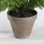 varen 38 cm H Faux Plant