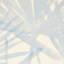 Papier peint Sunlit Palm Sisal-58849749