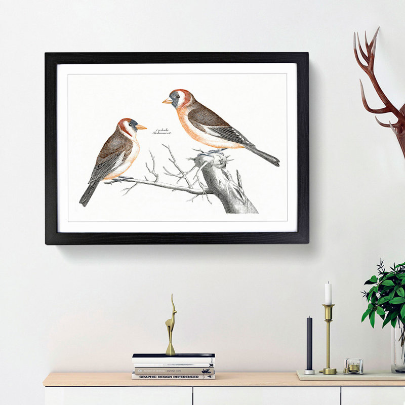 Goldfinches by Johan Teyler - Picture Frame Painting Print, 27cm H x 36cm W x 2cm D, Black Framed