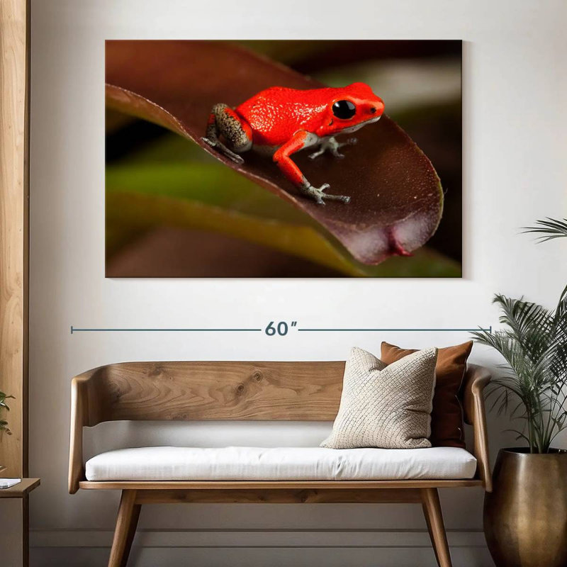 Crowle Poison Frog, 34" H x 51" W