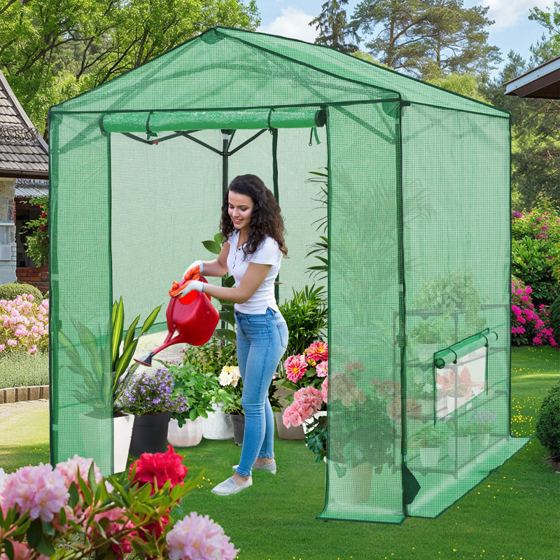 6' x 6' Pop Up Walk-In Greenhouse, Outdoor Garden Warm Hot House Portable Greenhouse, 7.2' H x 6' W x 6' D