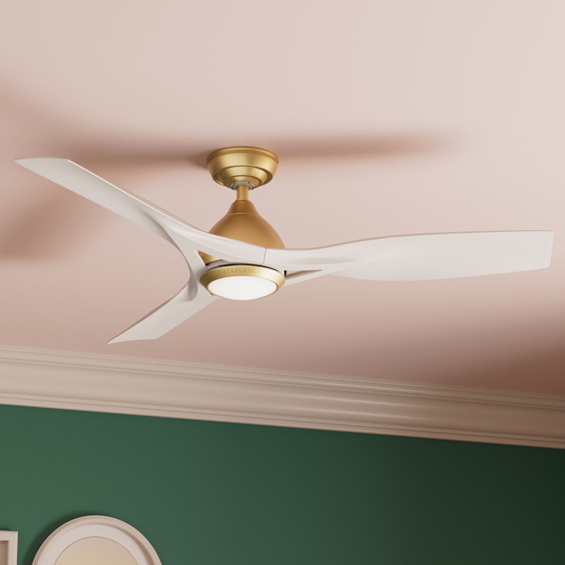 Casablanca 54 inch Elise ENERGY STAR®  Damp Rated Ceiling Fan with or without Lights and Wall Control
