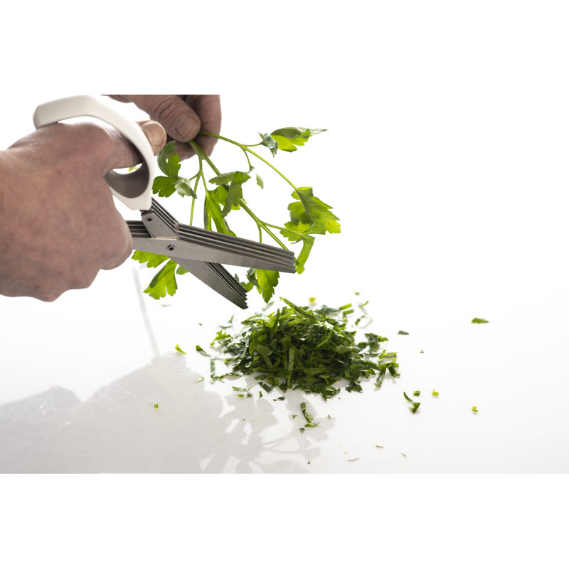 All-Purpose Kitchen Scissors