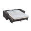 Maximina 2 Seater Sofa Bed-91533626