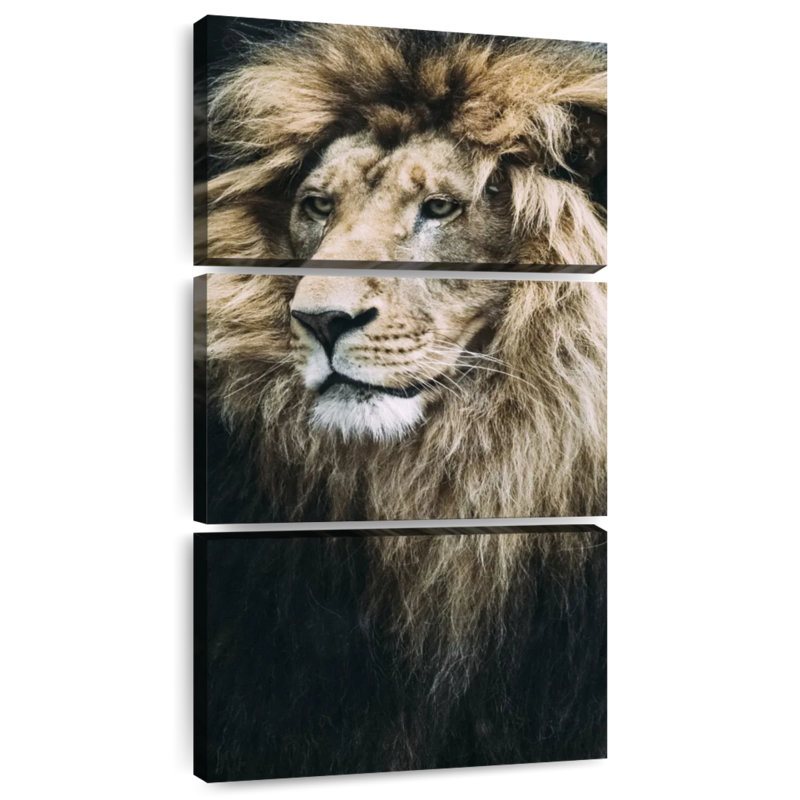 Vieux lion, H 27 po x l 12 po