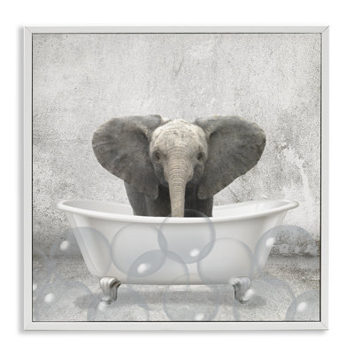 Bébé éléphant à l'heure du bain