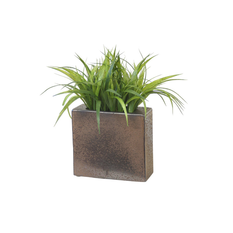 Grass in Bronze Planter