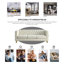 Canapé luxueux en velours beige avec accoudoirs carrés touffetés, canapé rembourré moderne avec pieds en métal doré pour le salon
