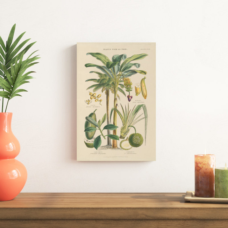 Arbres fruitiers, H 18 po x l 12 po x P 1,25 po