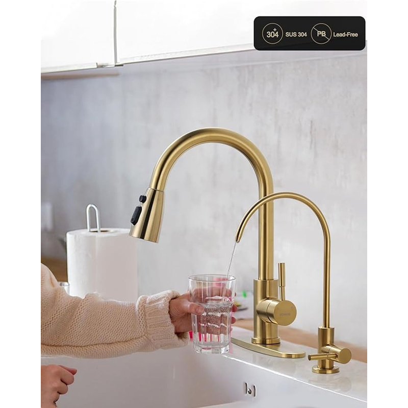 Brushed Gold Stainless Steel Kitchen Faucet with Pull-out Spray