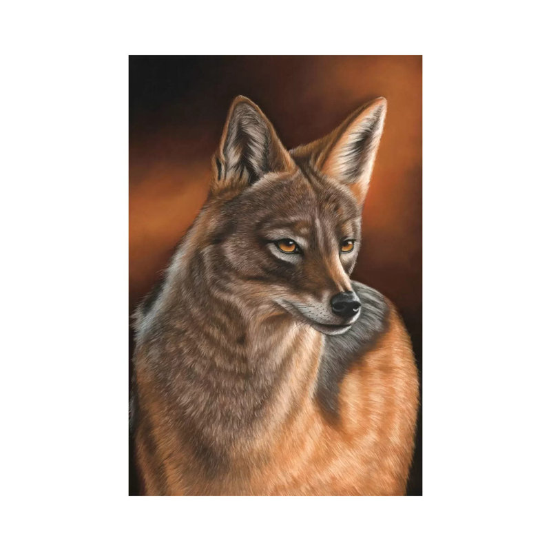 Jackal by Richard Macwee - Wrapped Canvas Gallery-Wrapped Canvas Giclée, 30.48 cm H x 20.32 cm W