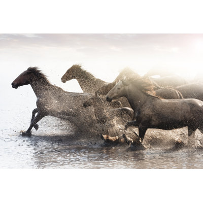 Herd Of Wild Horses Running In Water by Tunart - Wrapped Canvas Print