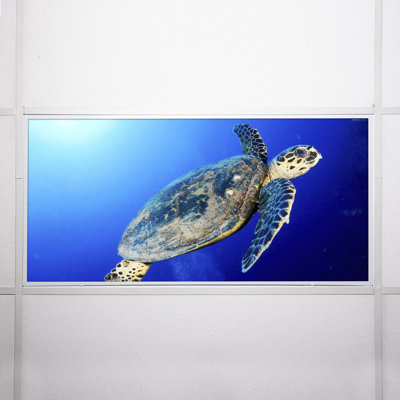 Ocean Classroom Fluorescent Light Covers for Ceiling Lights - For 2x4 Light Fixture - by Octo Lights