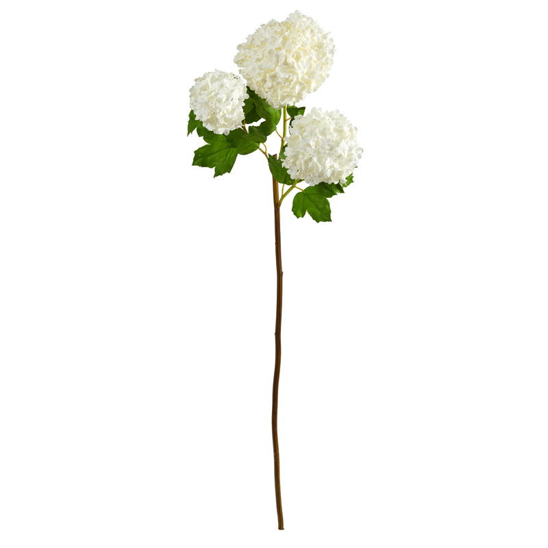 Tige d'hortensia boule de neige, Blanc