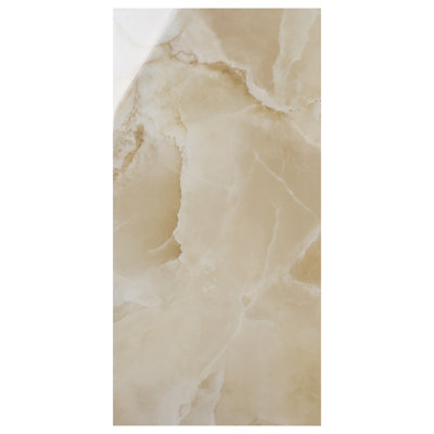 Harmonyx 23.62 in. x 47.24 in. Glossy Porcelain Tile