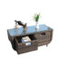 Table basse avec verre trempé