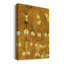 Turmeric Sunrise I sur impression sur toile-1990557145