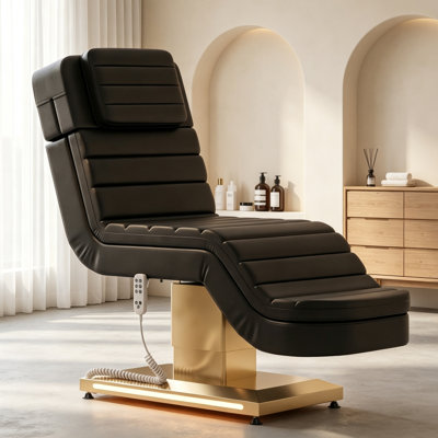 Lit de spa électrique chauffant de luxe à 3 moteurs avec éclairage DEL, hauteur et inclinaison réglables motorisées, capacité de 250 kg, noir
