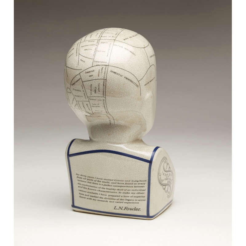 Crackle Phrenology Bust, 11.5" H x 5.5" W x 8" D