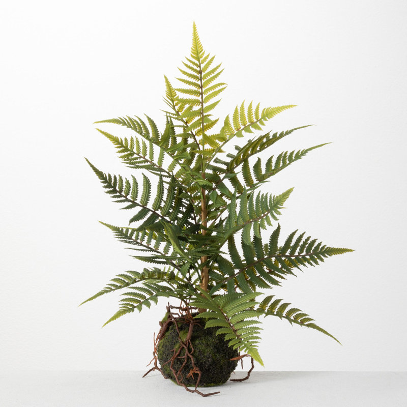 Fougère artificielle 13 "en pot