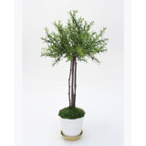 31'' Faux Foliage Topiary in Porcelain Pot