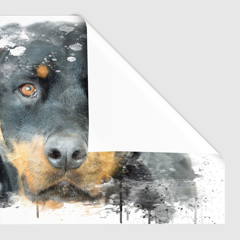 Rottweiler Dog - Rectangle Print on Canvas, Wrapped Canvas, 29.7cm H x 42cm W x 0.01cm D