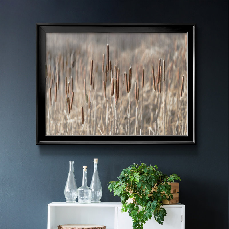 Summer Tails - Photographie avec cadre photo, H 26,5 po x l 36,5 po x P 1,5 po, Black Framed Canvas