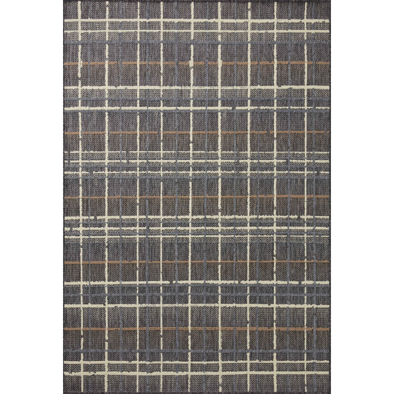 Pesina II Charcoal / Multi Indoor/Outdoor Area Rug, Rectangle 9'2" x 12'2"
