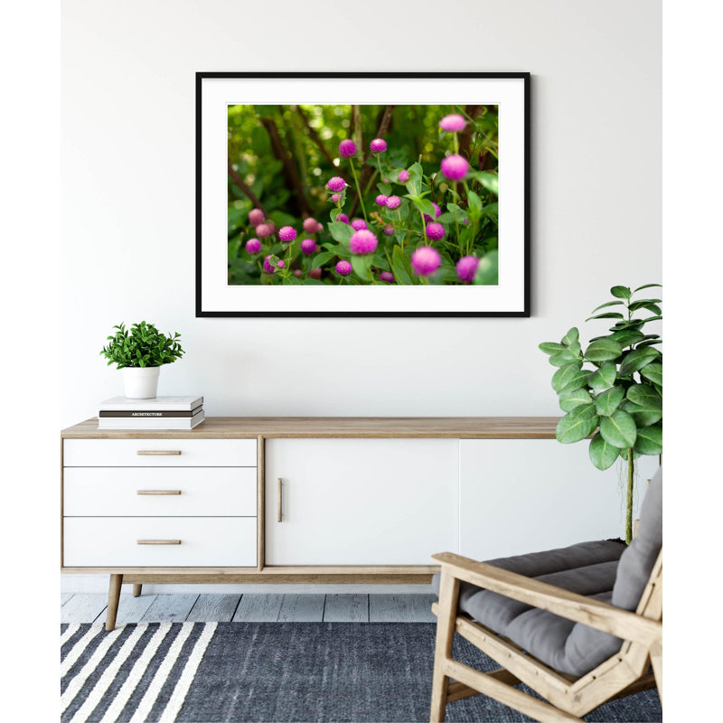 Shakespeare Garden Clover - Picture Frame Photograph on Paper, 33" H x 47" W, Black Framed