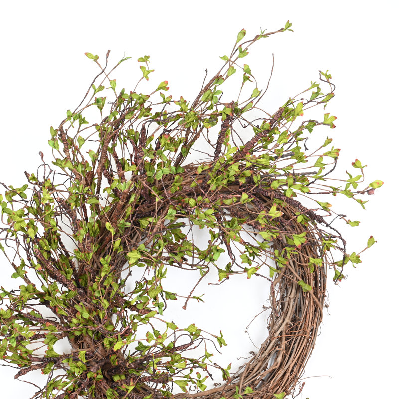 26" Spring Grapevine Wreath for Front Door, Brown/Green