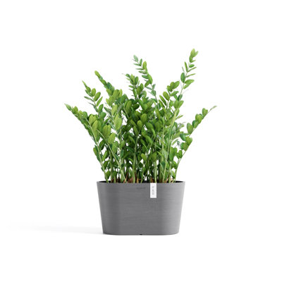 Pot Planter