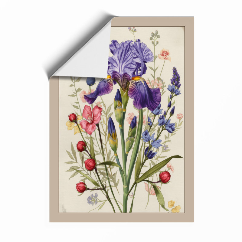 Iris and Specimen Botanical - Framed Print, A3 - 42.0 x 29.7 cm, Unframed