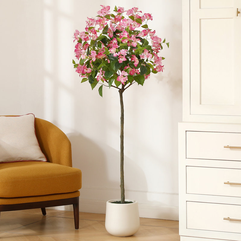 Arbre à fleurs Adcock Bougainvillea, H 60 po x l 20 po x P 20 po