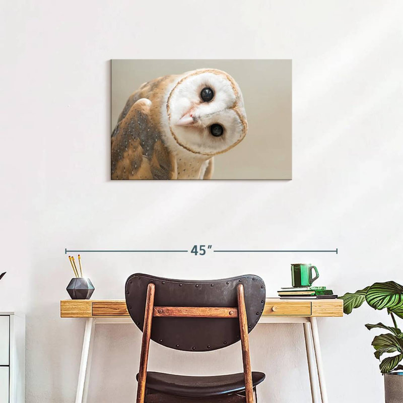 Brampt Barn Owl Gaze, 20" H x 30" W