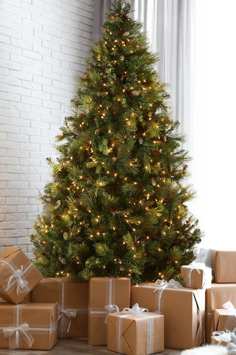Christmas Trees