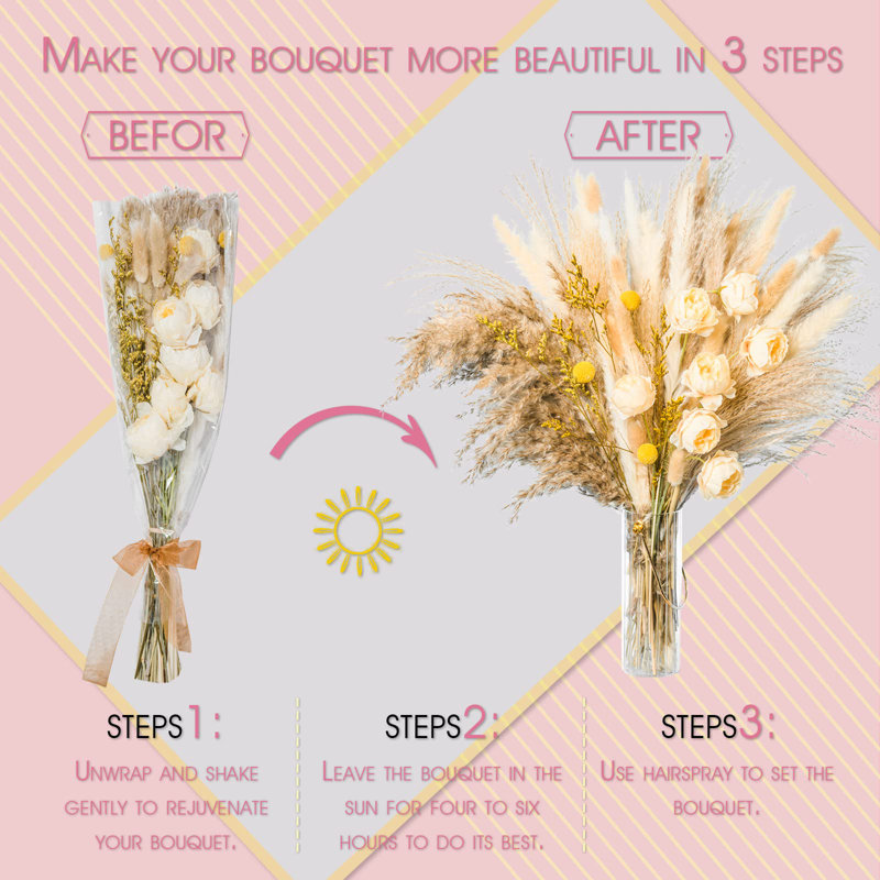 Pampa Arrangement