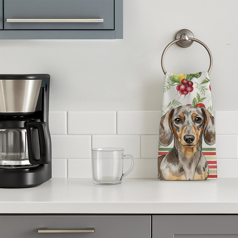 Torchon Dapple Dachshund, Dapple Dachshund
