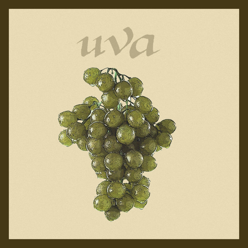 Italian Fruit IV - Wrapped Canvas Painting, 30cm H x 30cm W x 3.8cm D