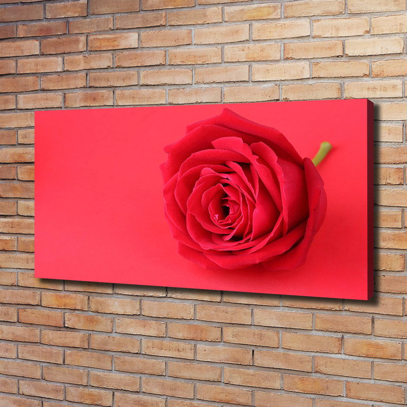 Red Rose - Wrapped Canvas Print